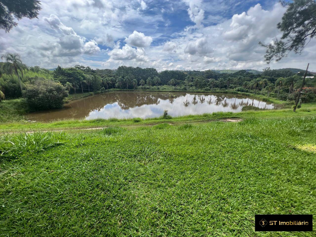 Fazenda à venda com 4 quartos, 330000m² - Foto 9