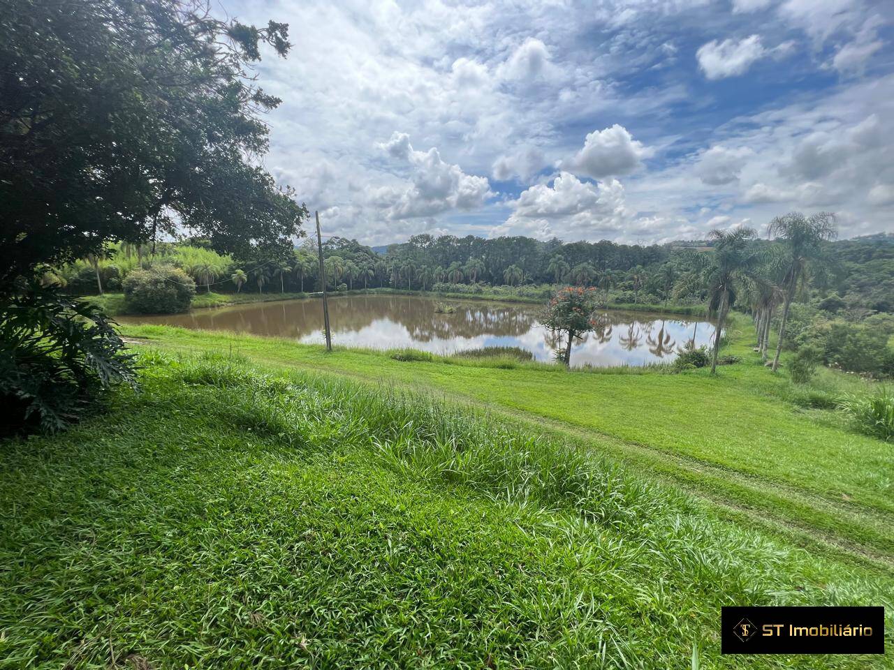 Fazenda à venda com 4 quartos, 330000m² - Foto 15