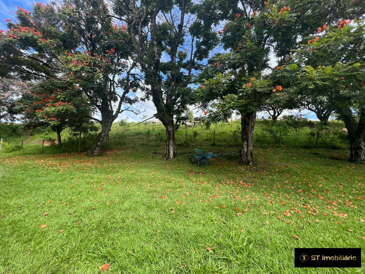 Fazenda à venda com 4 quartos, 330000m² - Foto 17