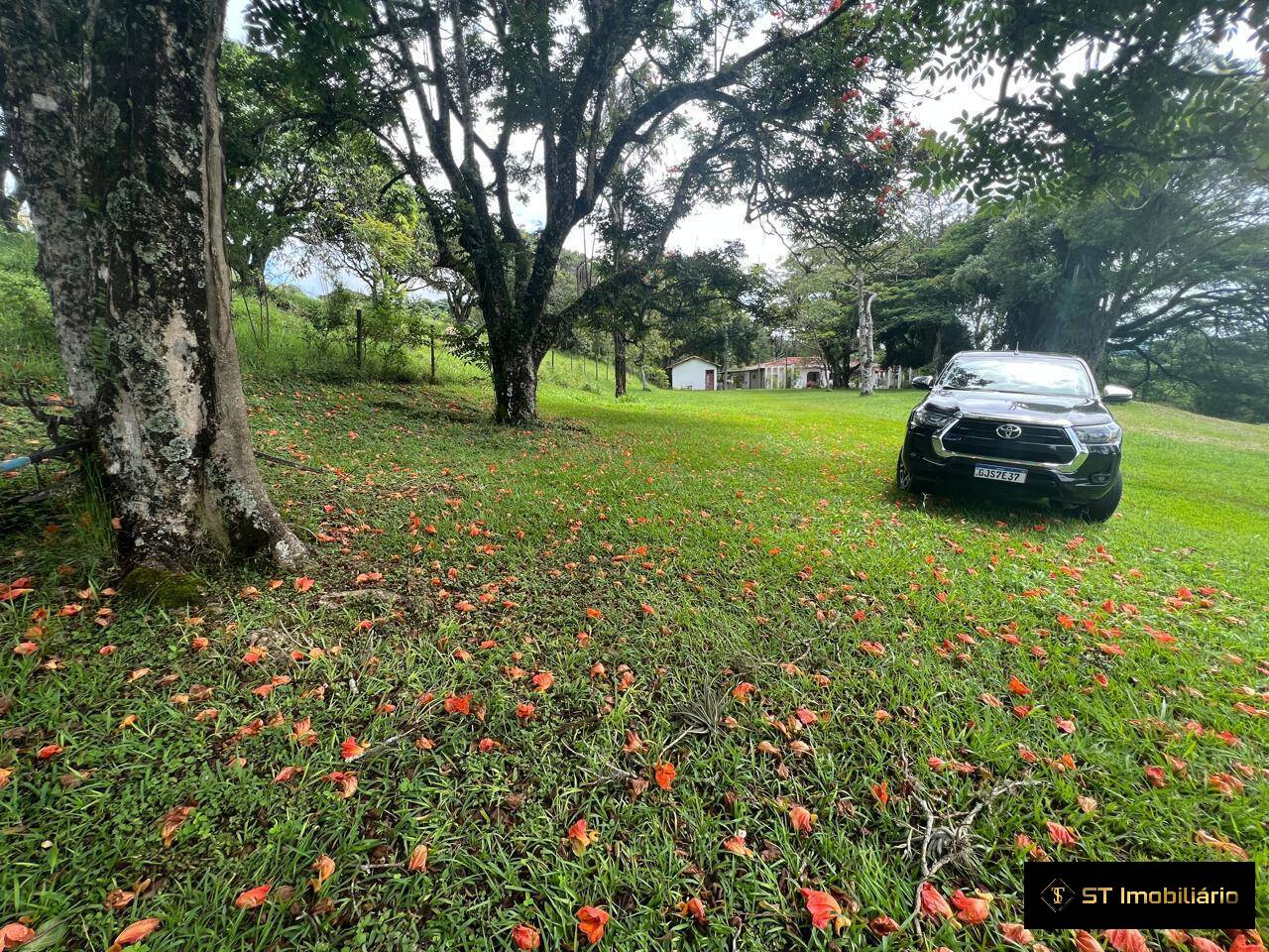 Fazenda à venda com 4 quartos, 330000m² - Foto 24