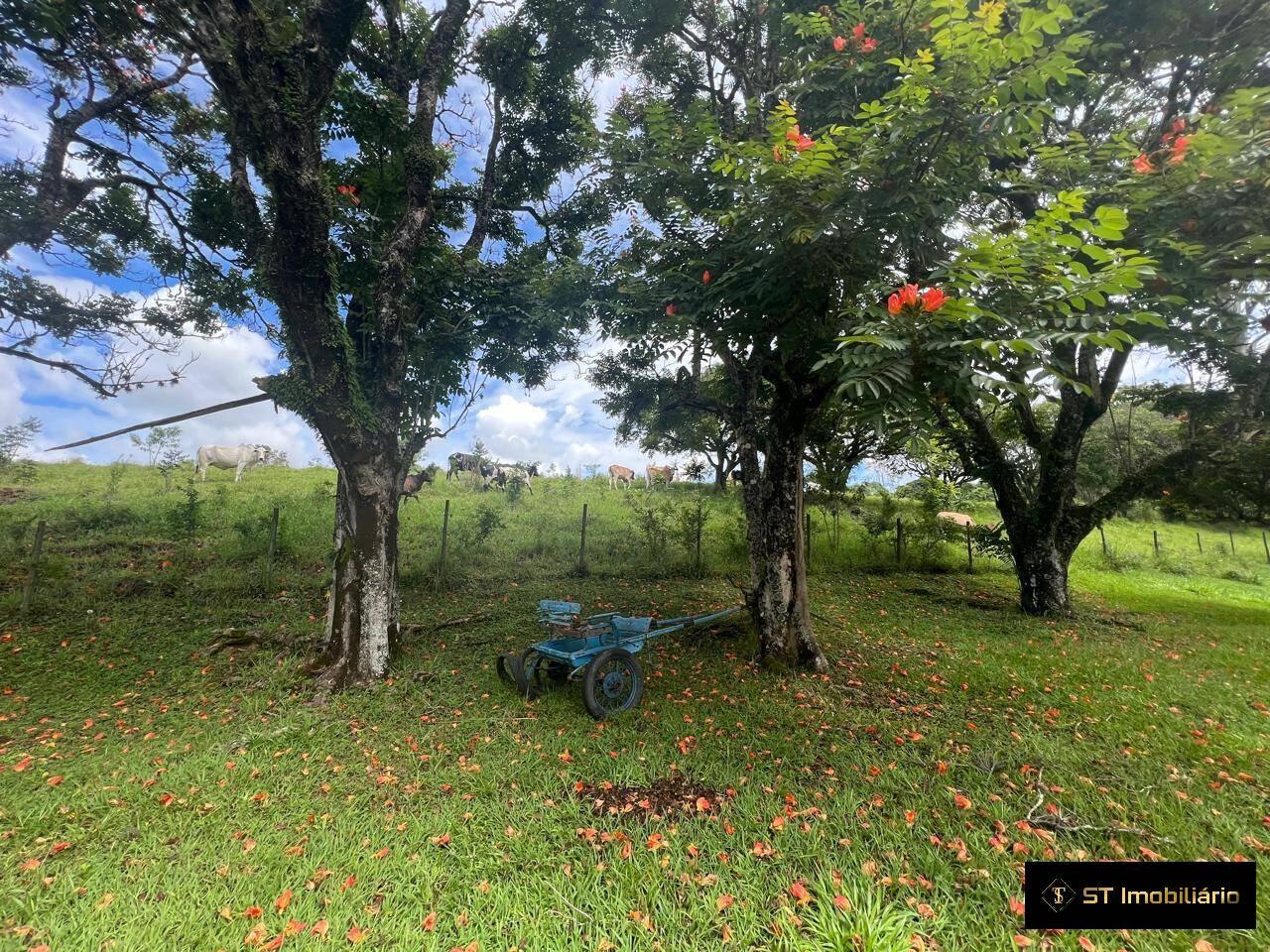 Fazenda à venda com 4 quartos, 330000m² - Foto 27