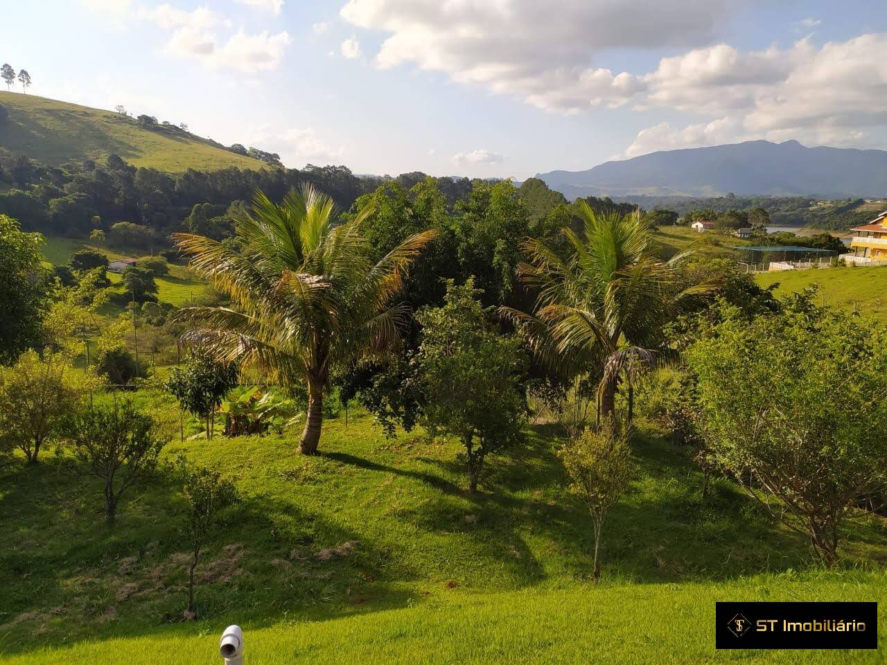 Fazenda à venda com 4 quartos, 250m² - Foto 4