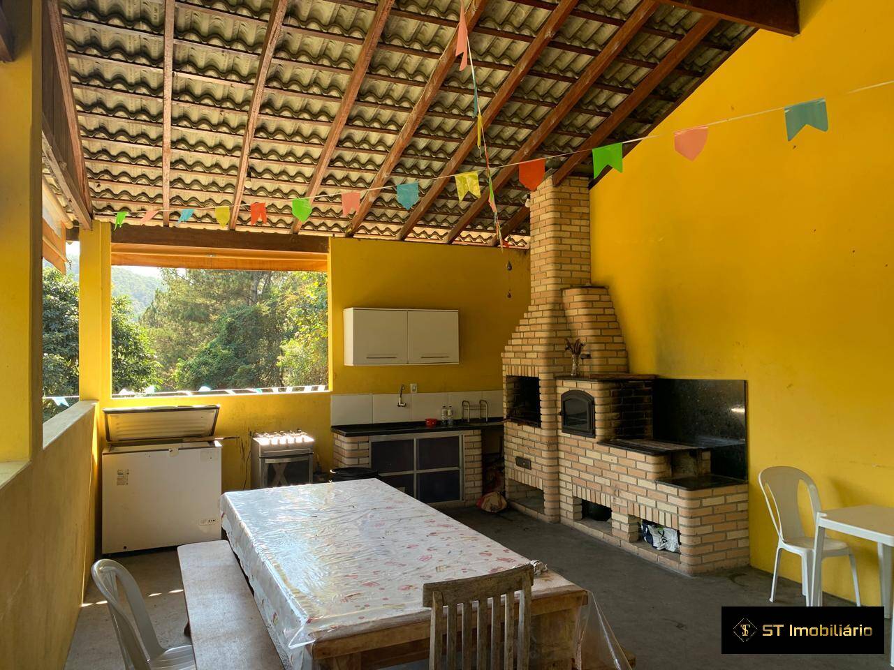 Fazenda à venda com 4 quartos, 250m² - Foto 4