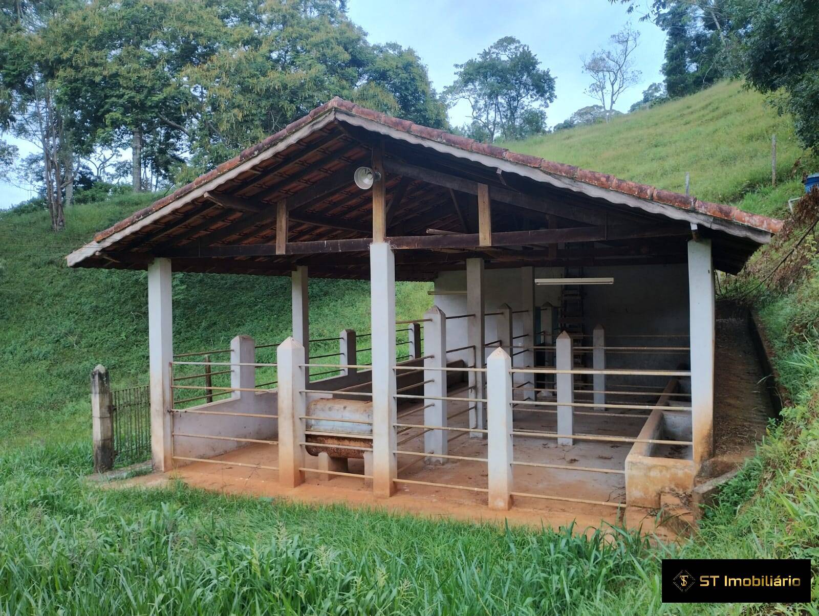 Fazenda à venda com 7 quartos, 900m² - Foto 7