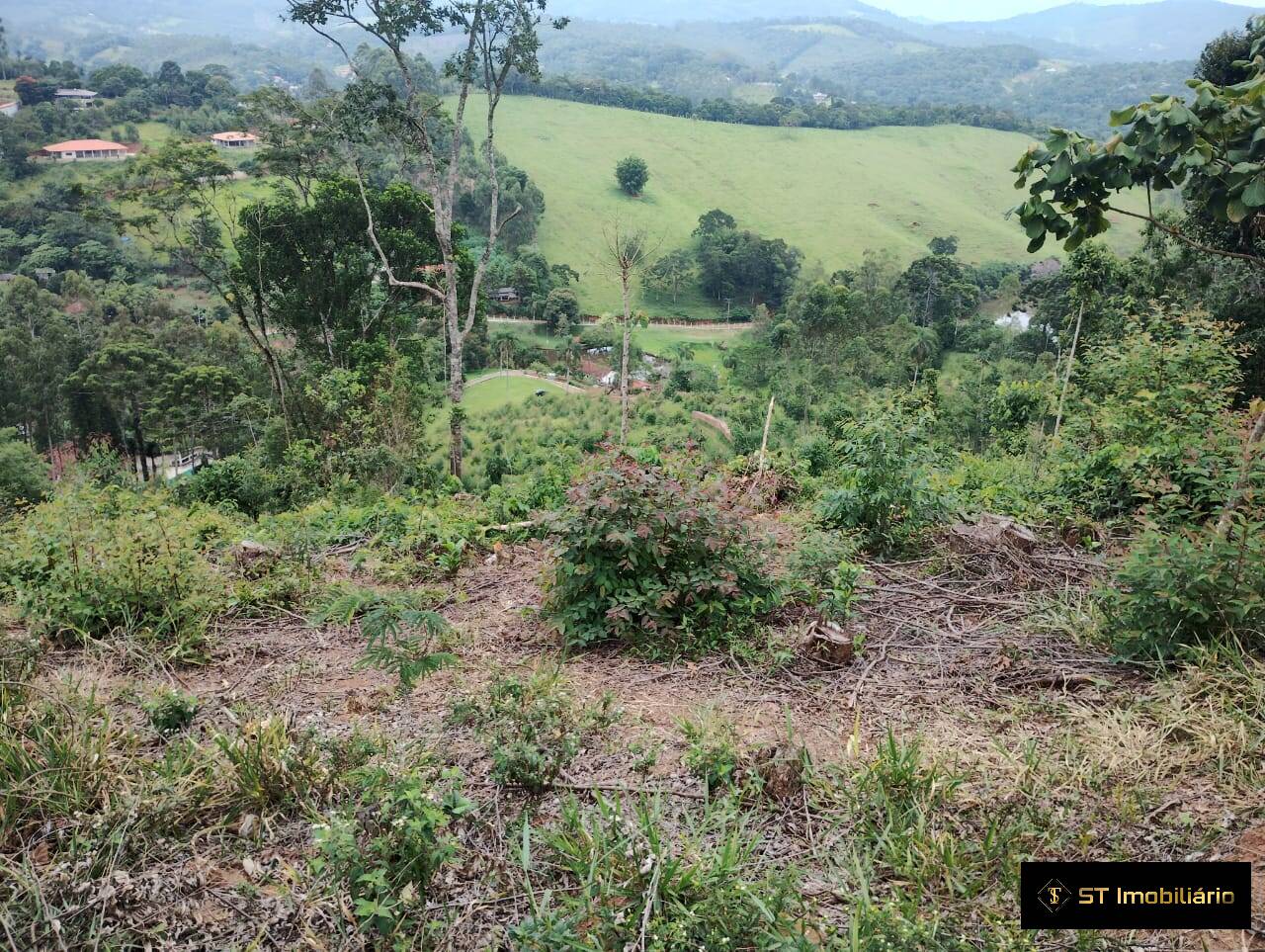 Fazenda à venda com 7 quartos, 900m² - Foto 15