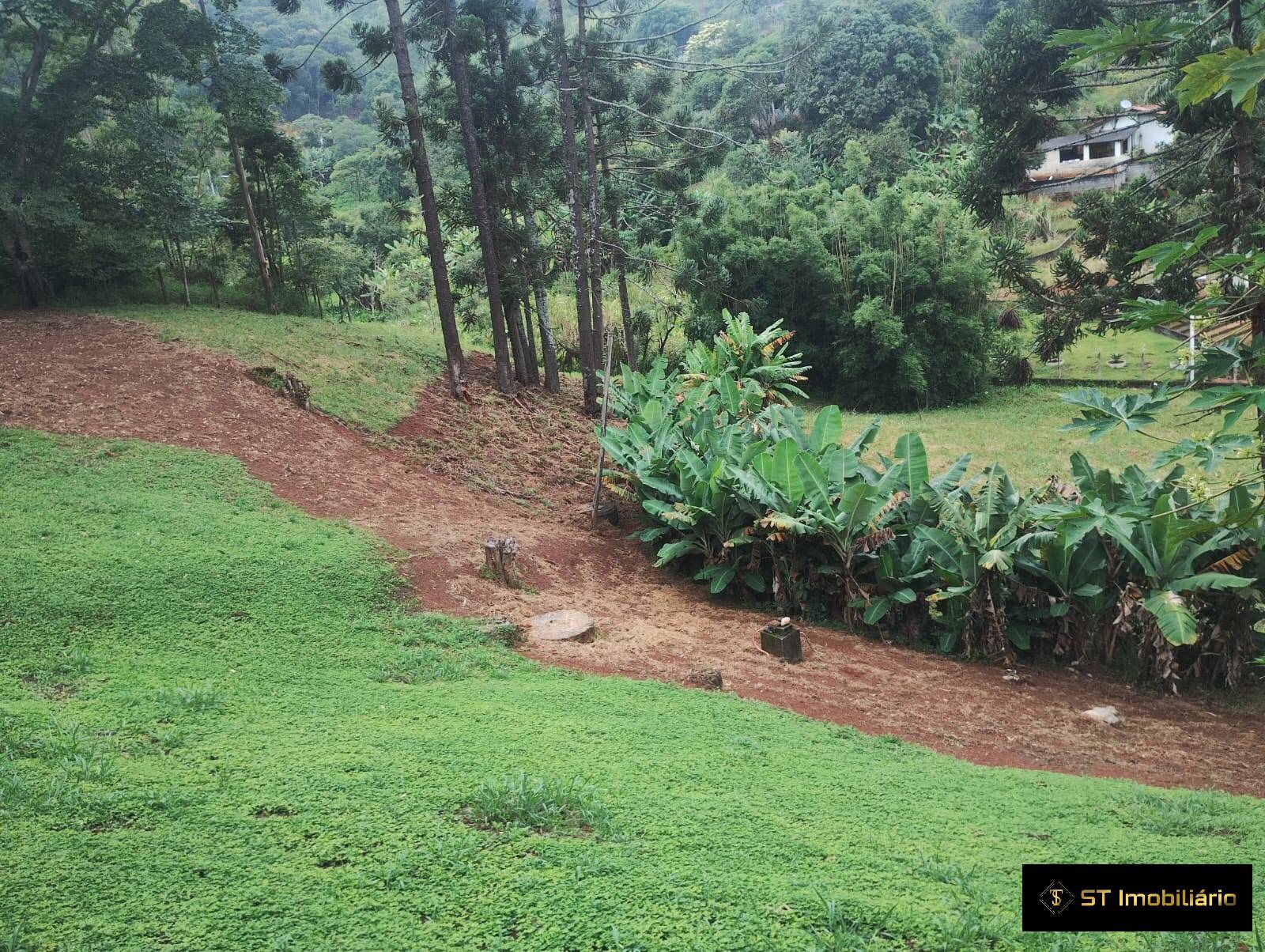 Fazenda à venda com 7 quartos, 900m² - Foto 17