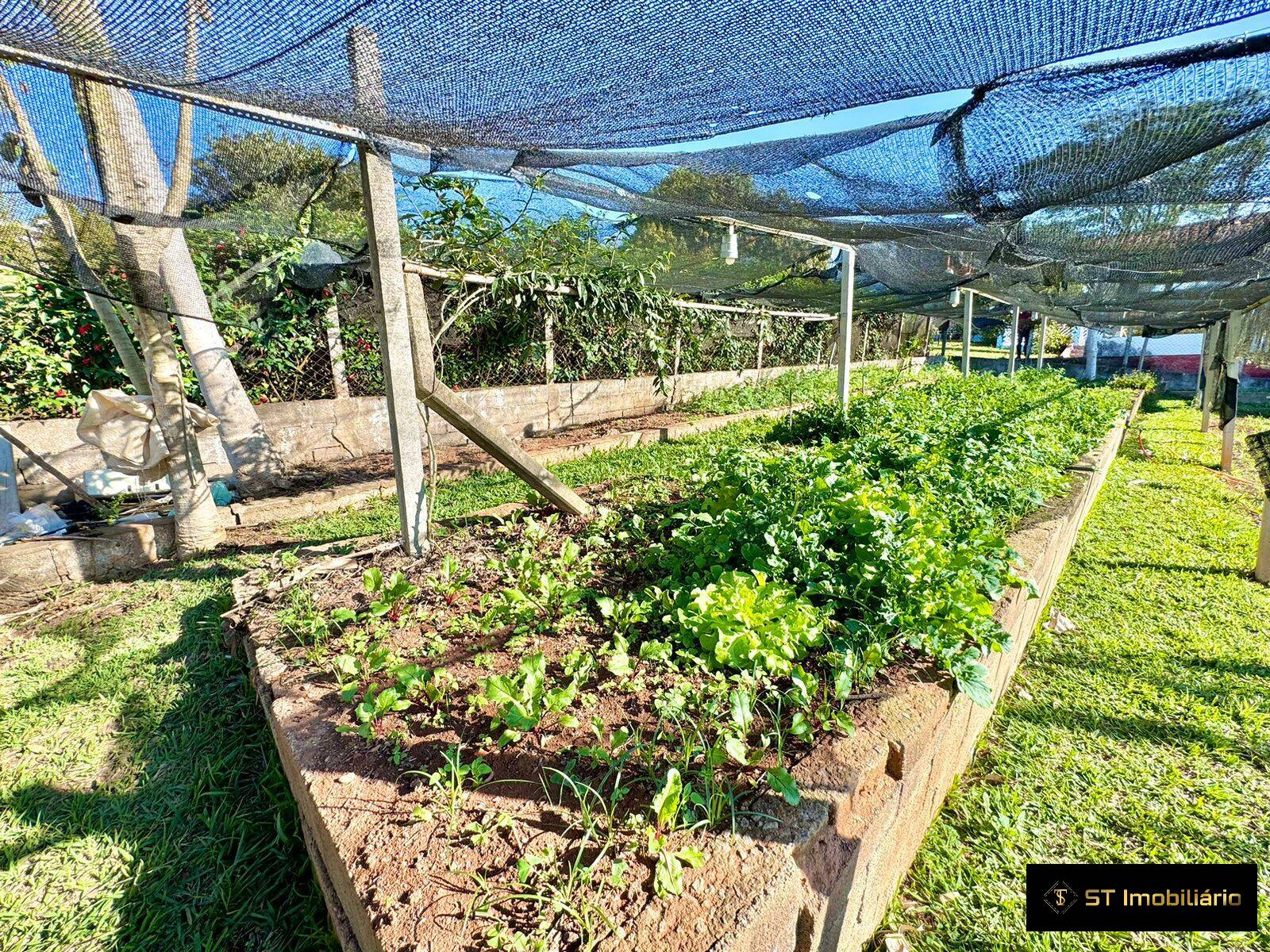 Fazenda à venda com 4 quartos, 385m² - Foto 22