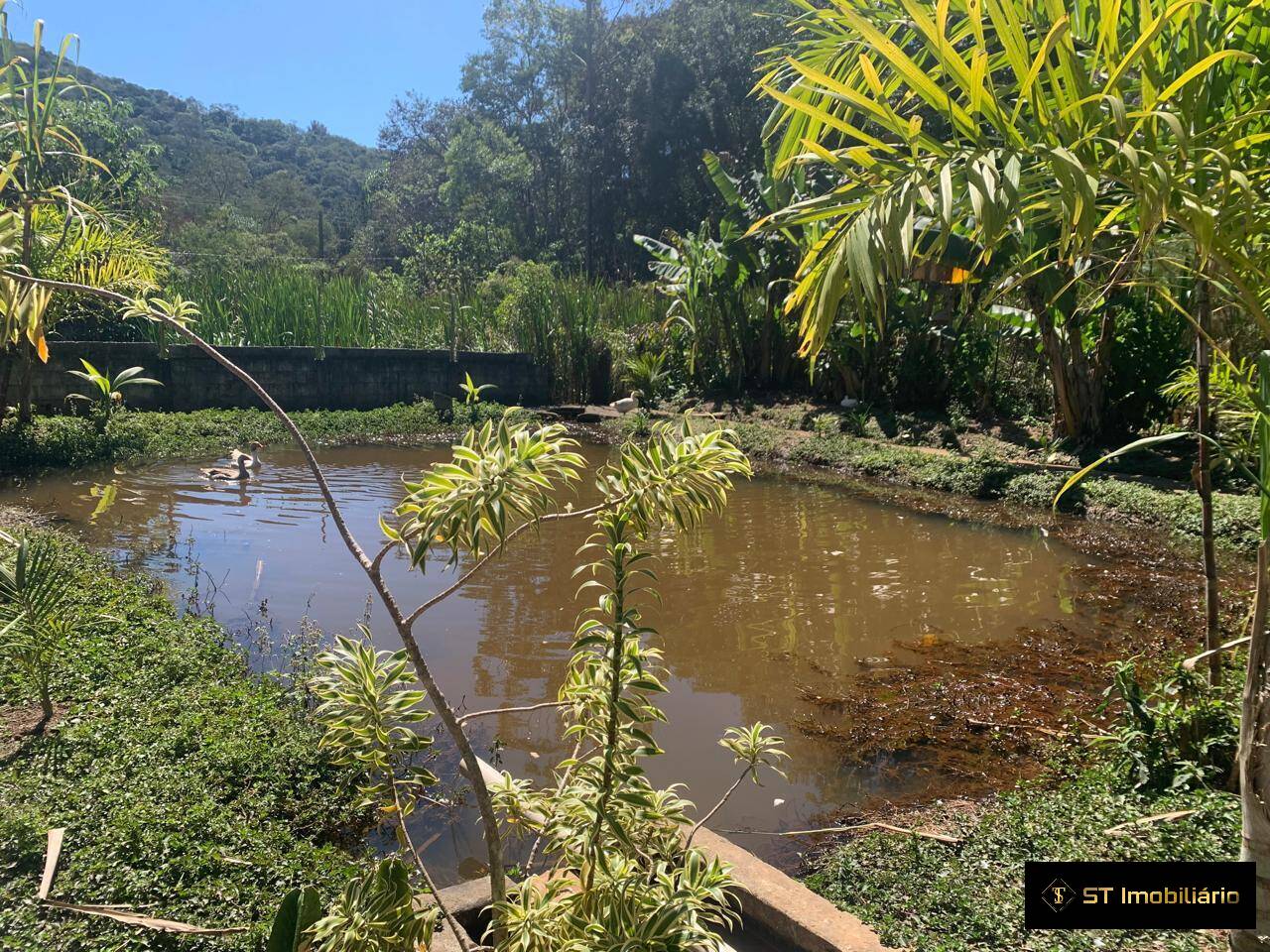 Fazenda à venda com 3 quartos, 170m² - Foto 4