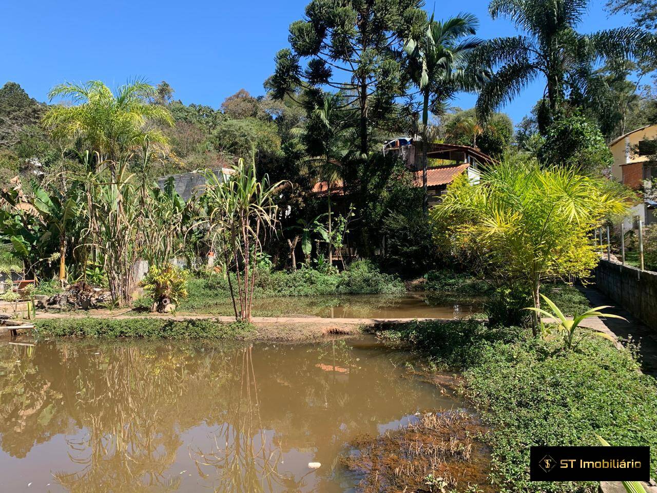 Fazenda à venda com 3 quartos, 170m² - Foto 22