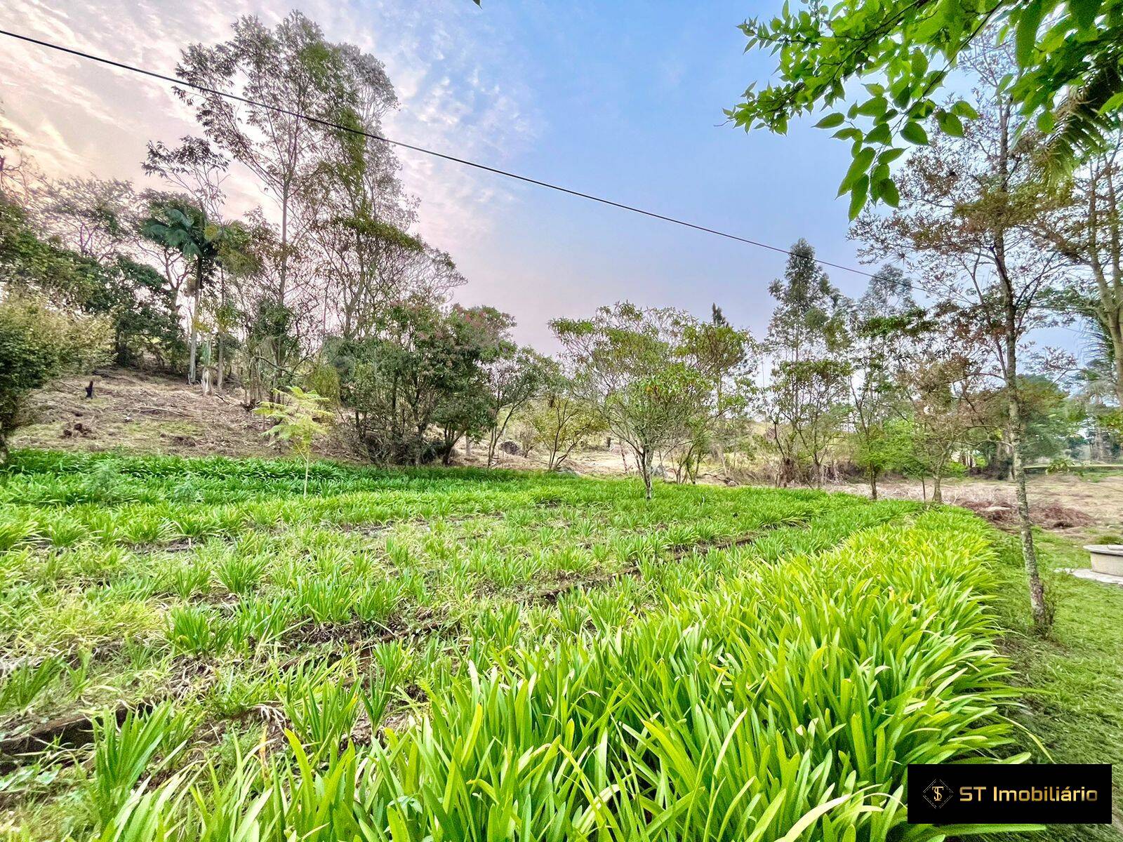 Fazenda à venda com 3 quartos, 480m² - Foto 25