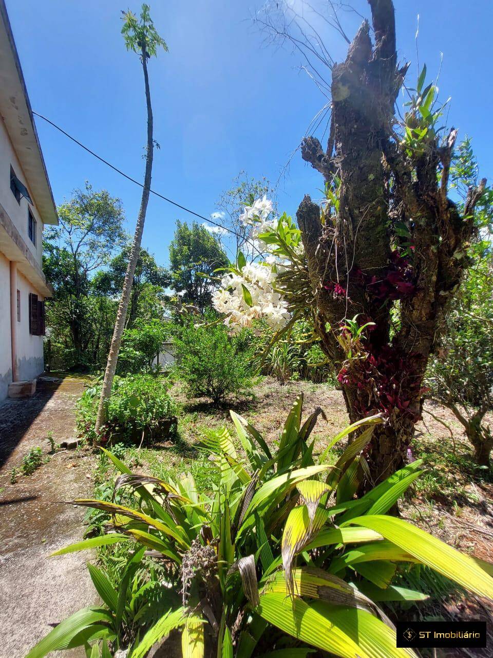 Fazenda à venda com 2 quartos, 160m² - Foto 8