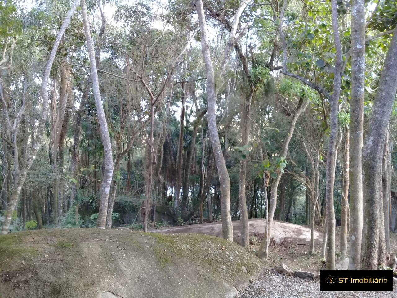 Fazenda à venda com 3 quartos, 200m² - Foto 2