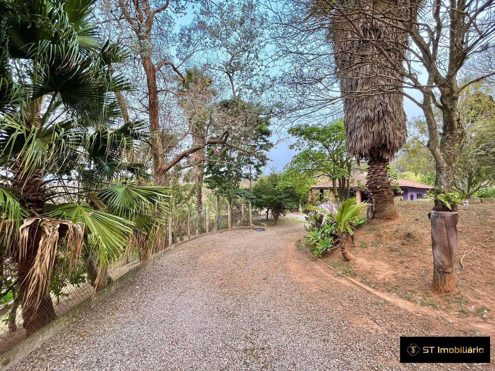 Fazenda à venda com 4 quartos, 180m² - Foto 7