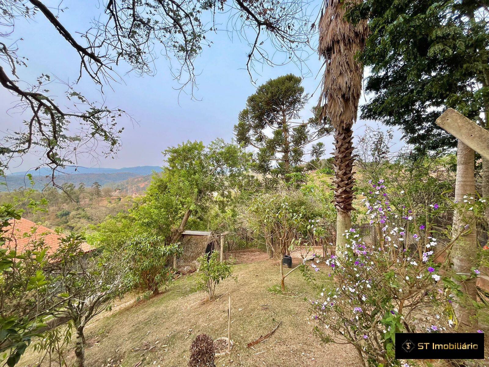 Fazenda à venda com 4 quartos, 180m² - Foto 8