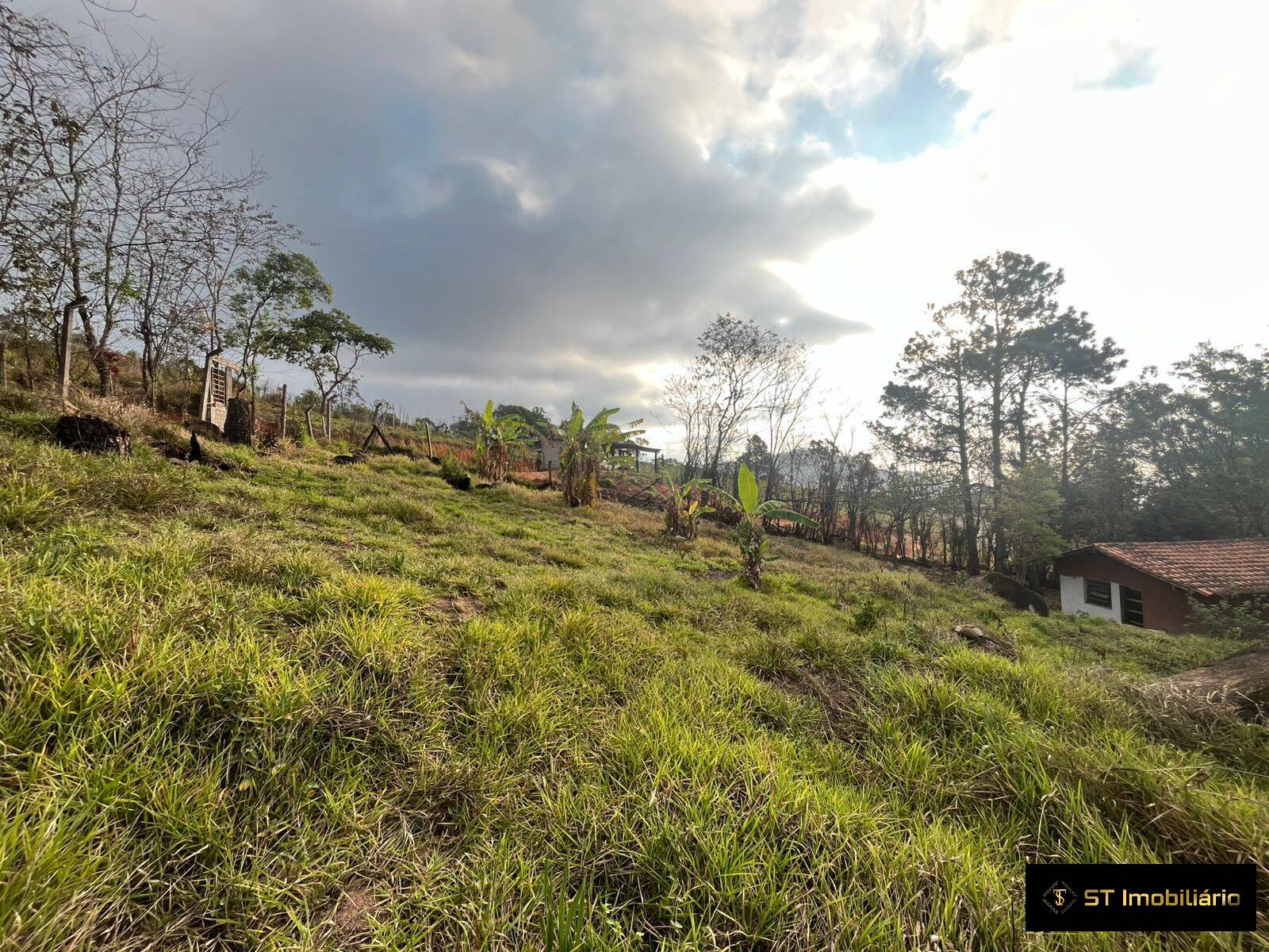 Fazenda à venda com 3 quartos, 180m² - Foto 6