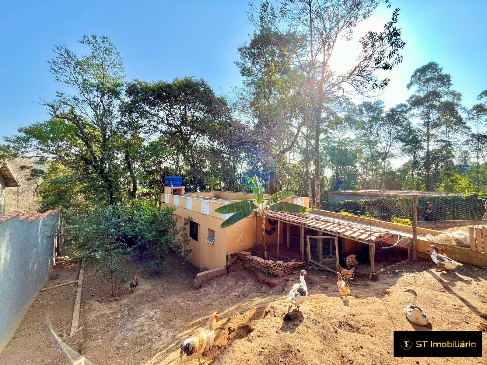 Fazenda à venda com 3 quartos, 188m² - Foto 9