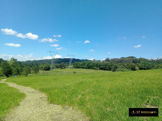 Fazenda à venda com 3 quartos, 650m² - Foto 5