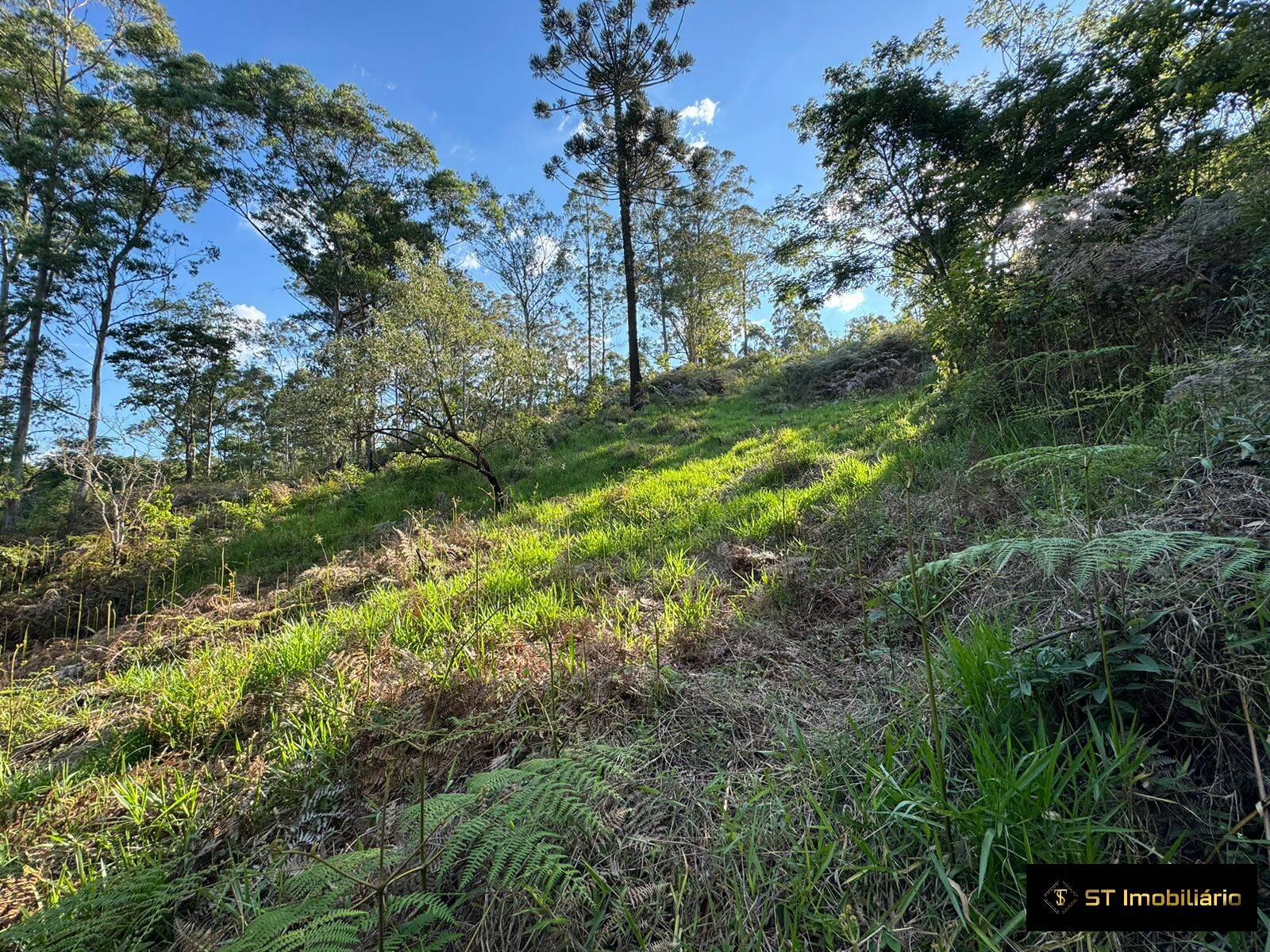 Terreno à venda, 1469m² - Foto 3