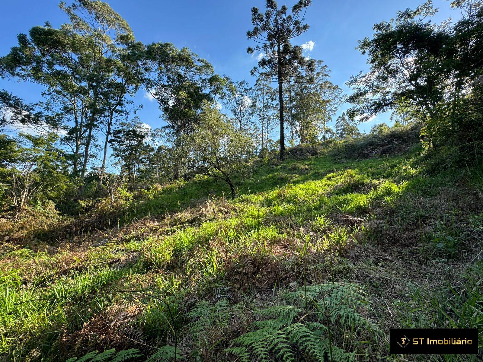 Terreno à venda, 1469m² - Foto 4