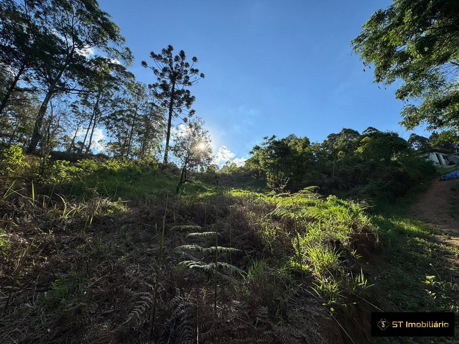 Terreno à venda, 1469m² - Foto 5