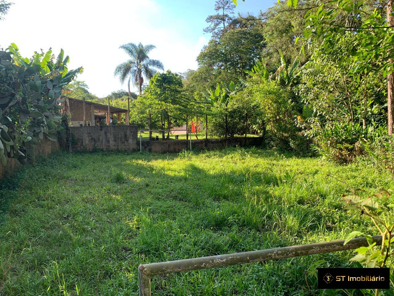 Fazenda à venda com 3 quartos, 2050m² - Foto 10