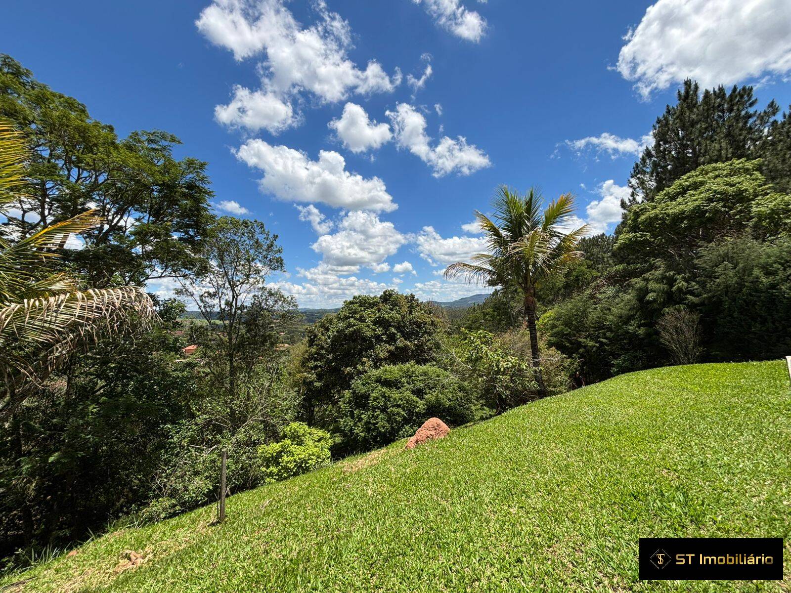 Fazenda à venda com 3 quartos, 379m² - Foto 19