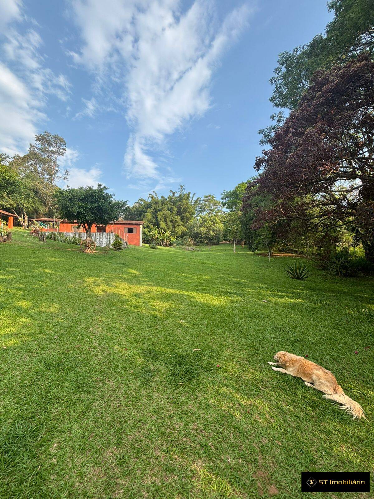 Fazenda à venda com 6 quartos, 300m² - Foto 9