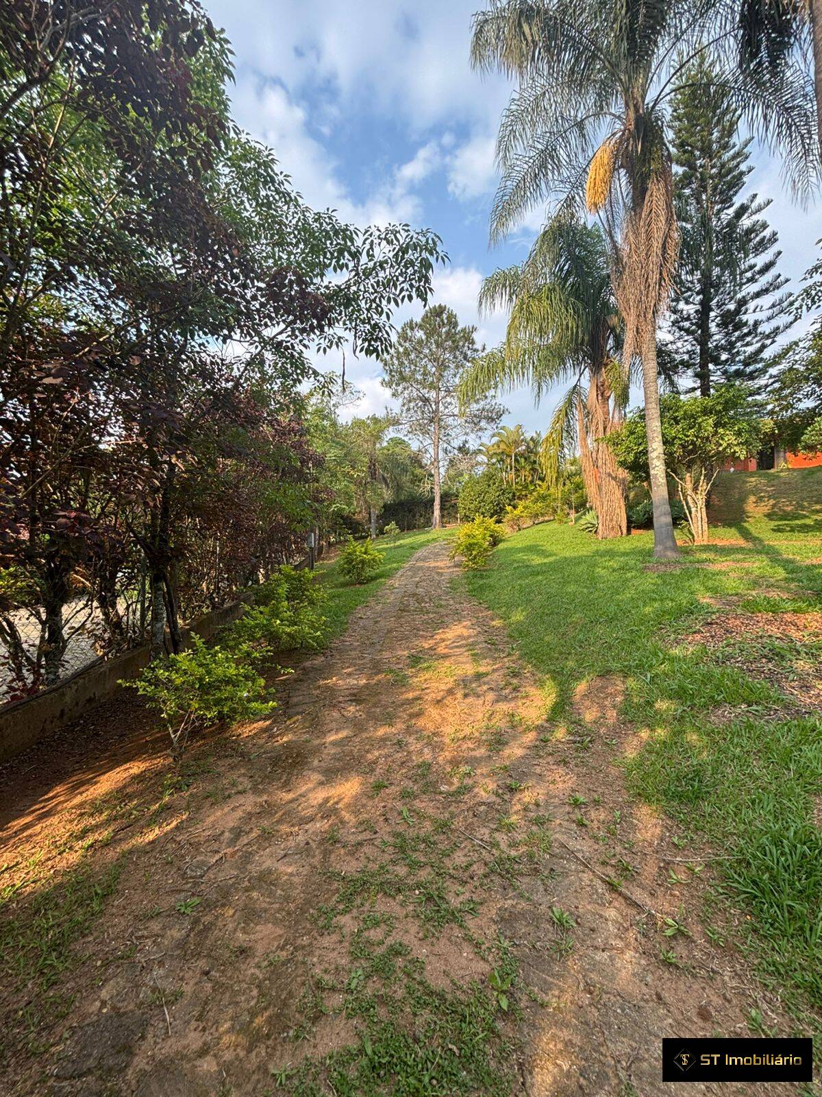 Fazenda à venda com 6 quartos, 300m² - Foto 10