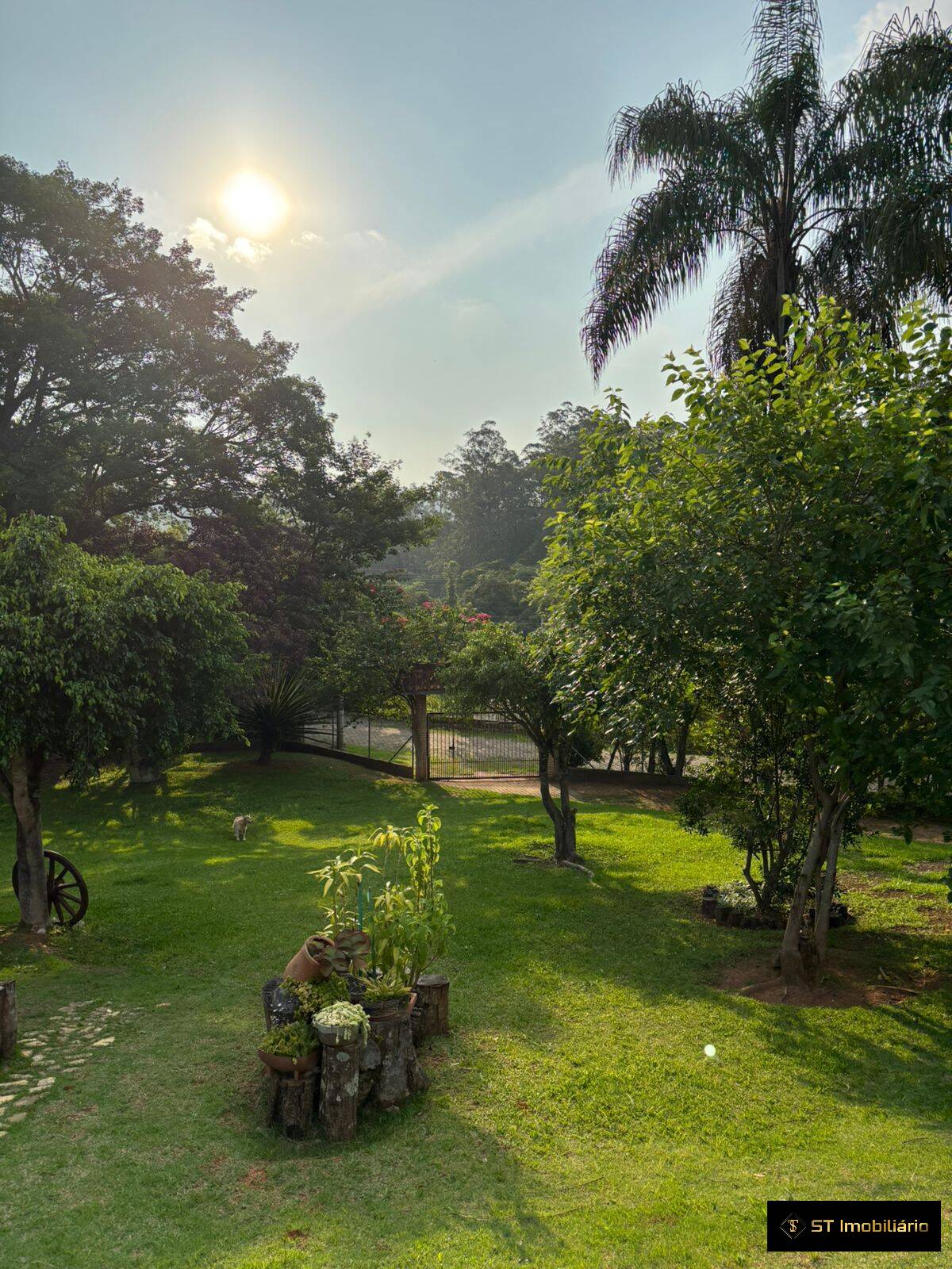 Fazenda à venda com 6 quartos, 300m² - Foto 13