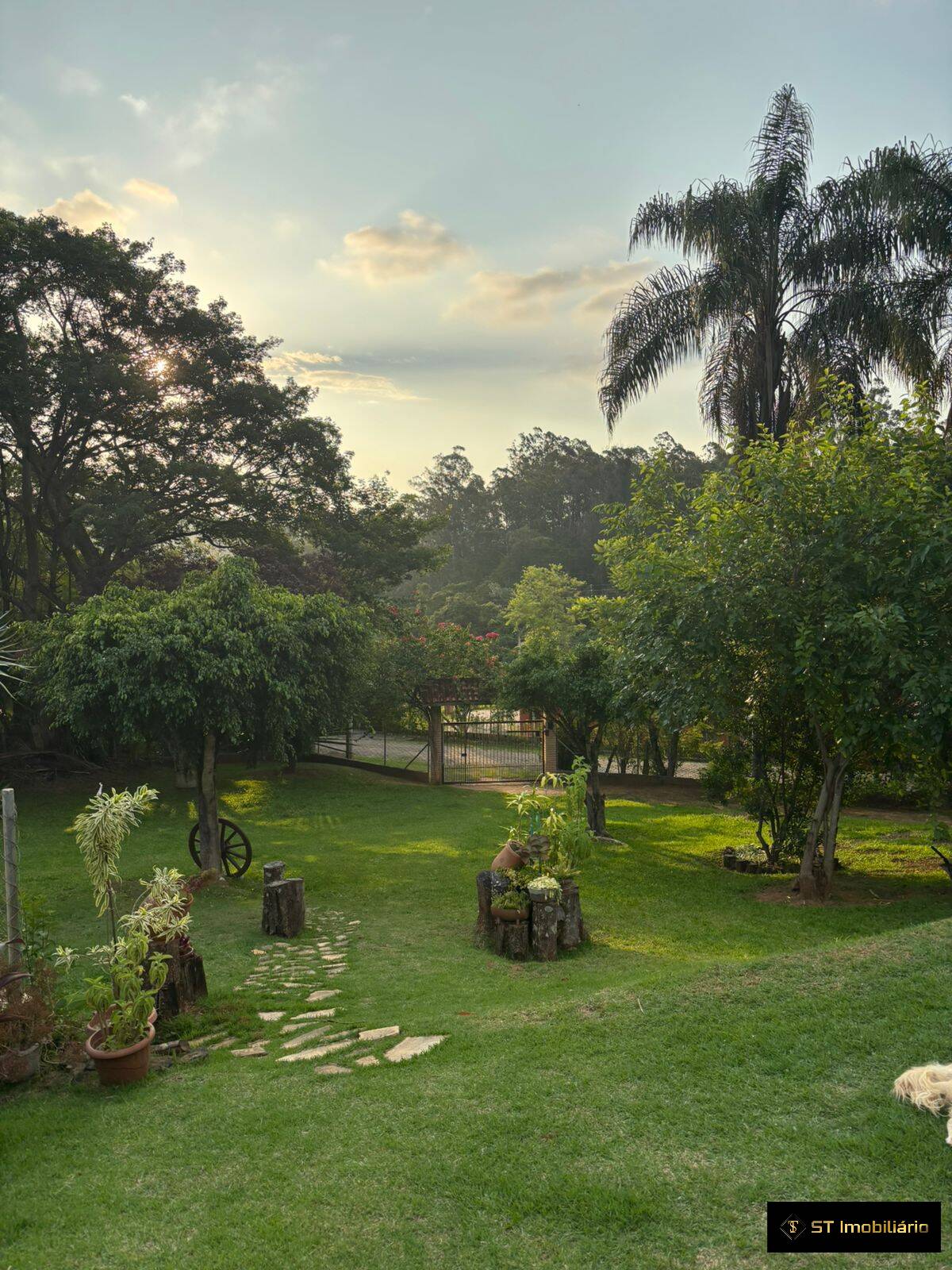 Fazenda à venda com 6 quartos, 300m² - Foto 27