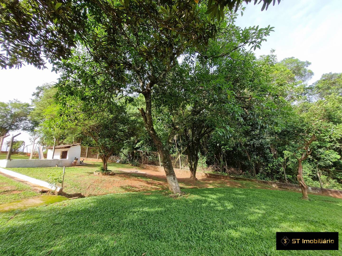 Fazenda à venda com 4 quartos, 450m² - Foto 10