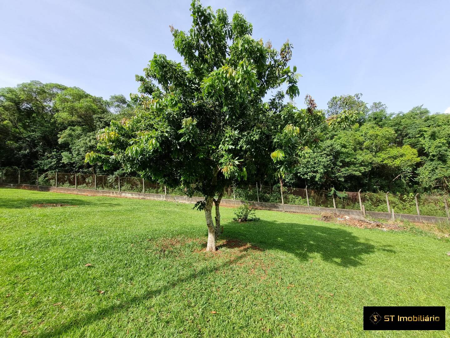 Fazenda à venda com 4 quartos, 450m² - Foto 29