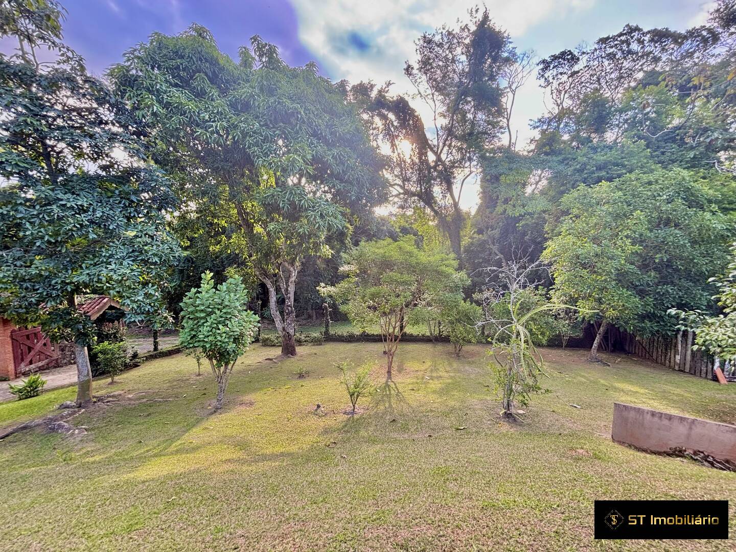 Fazenda à venda com 4 quartos, 850m² - Foto 6