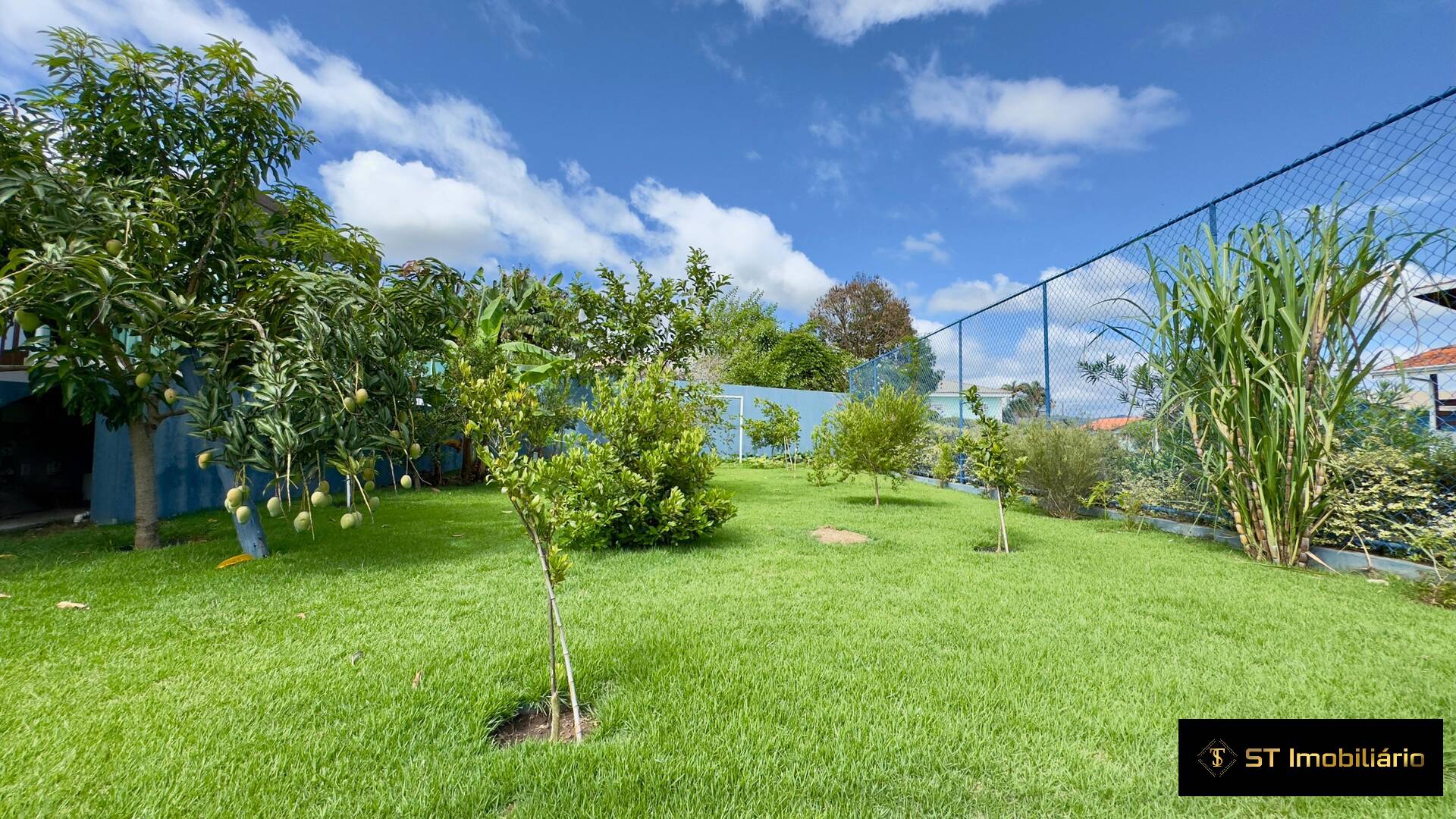 Fazenda à venda com 3 quartos, 213m² - Foto 22