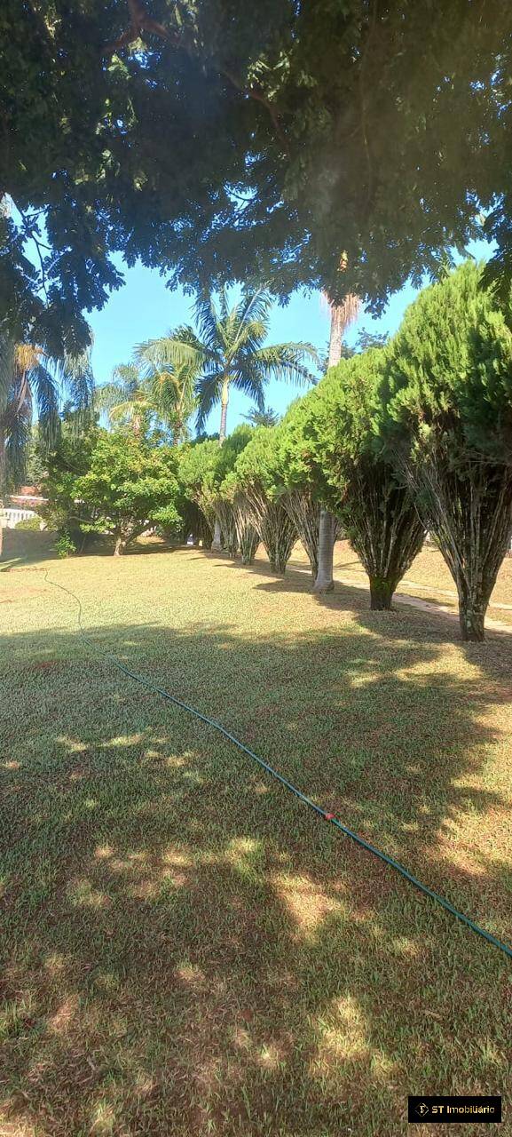 Fazenda à venda com 2 quartos, 3916m² - Foto 5