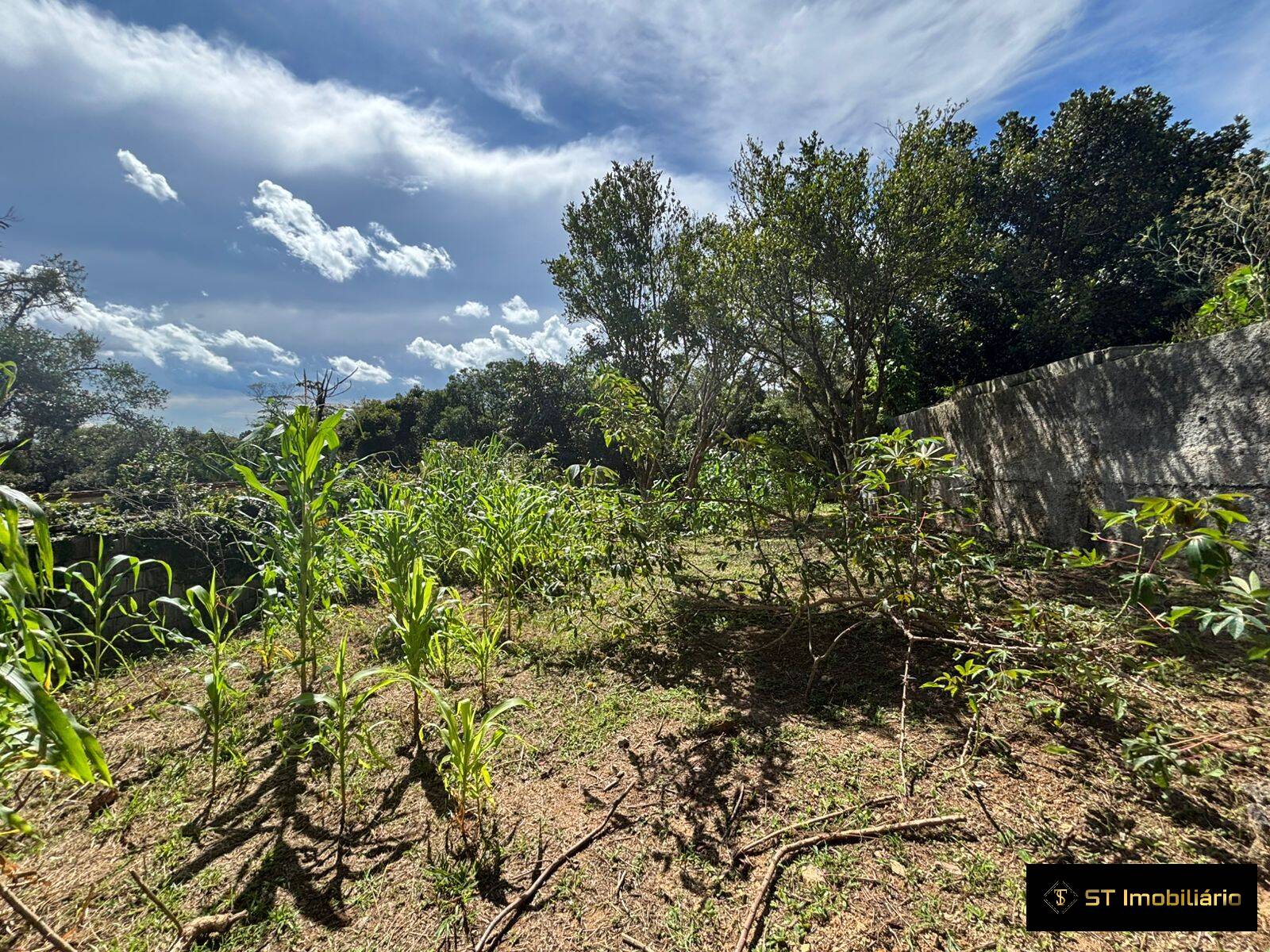 Terreno à venda, 250m² - Foto 23