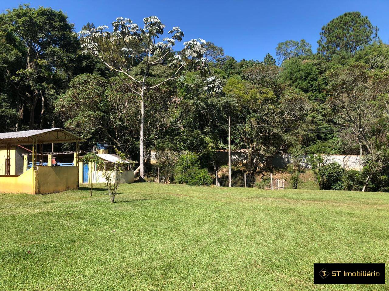 Fazenda à venda com 3 quartos, 23000m² - Foto 26