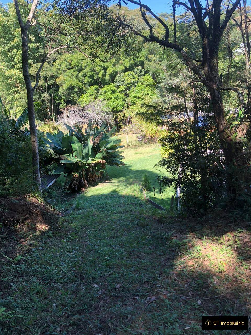 Fazenda à venda com 3 quartos, 23000m² - Foto 30