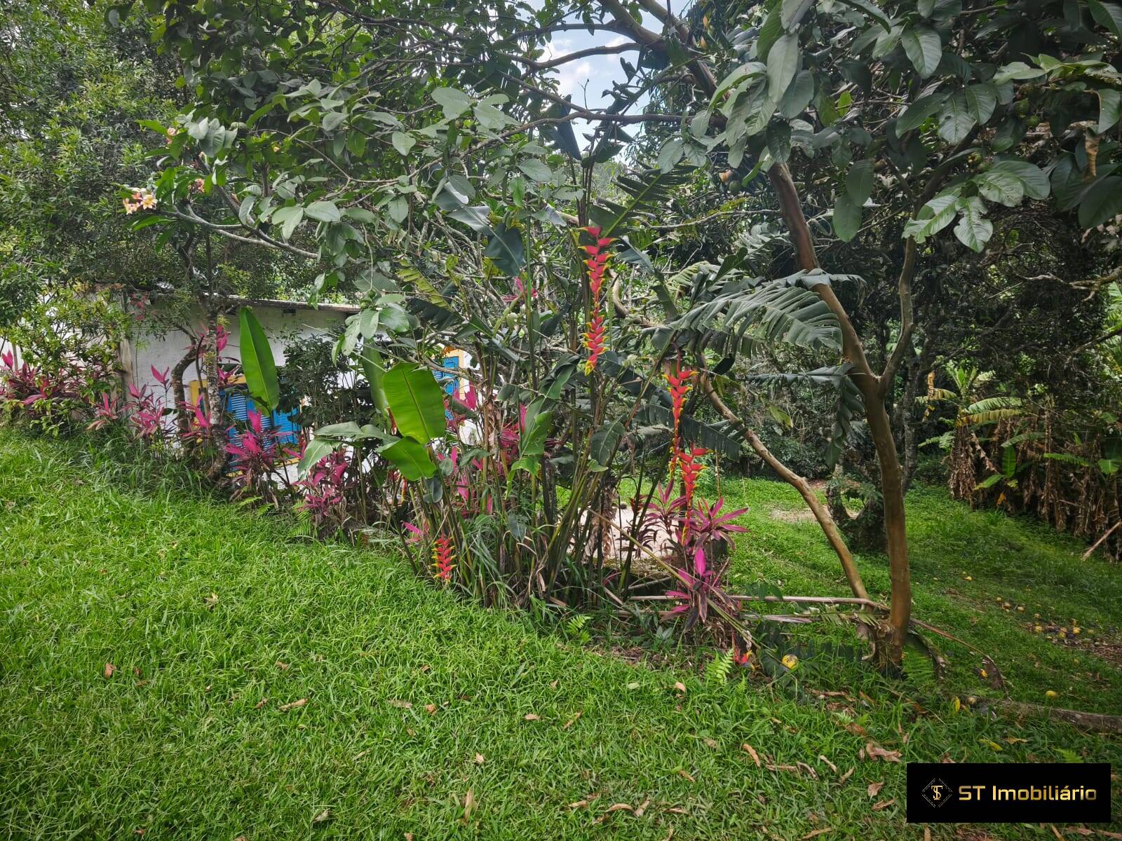 Fazenda à venda com 3 quartos, 240m² - Foto 5